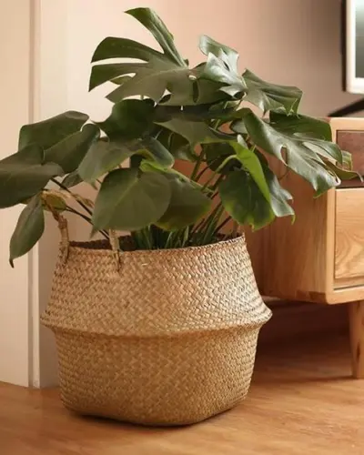 Cache-pots en osier